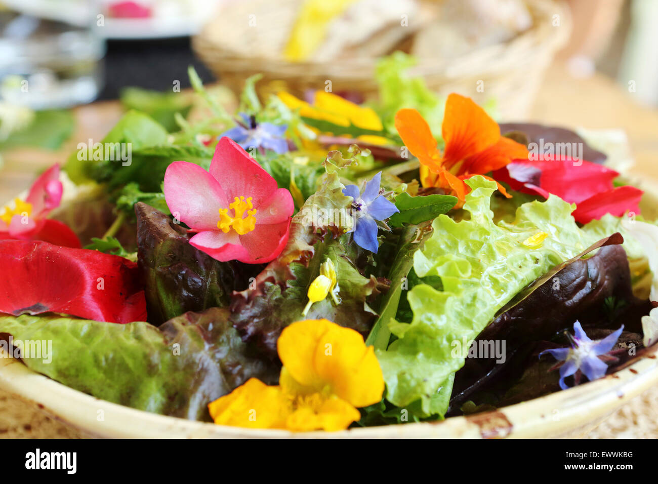 Foglia verde insalata servita con fiori commestibili a Corconne, Francia. Gli ingredienti sono fornite localmente. Foto Stock