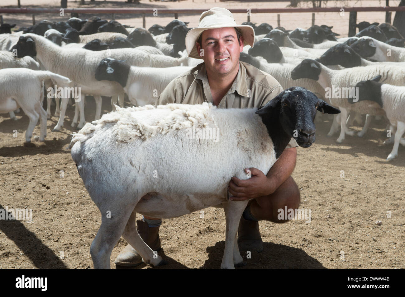 Namibia - Manus Kotze, pecore e gioco farmer (rilasciato) Foto Stock