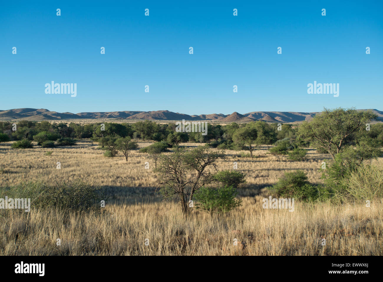 Duwisib Namibia, Africa - Paesaggio della Namibia Foto Stock