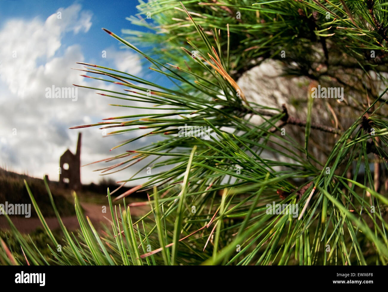 Vecchie miniere di stagno in Redruth, Cornwall Foto Stock