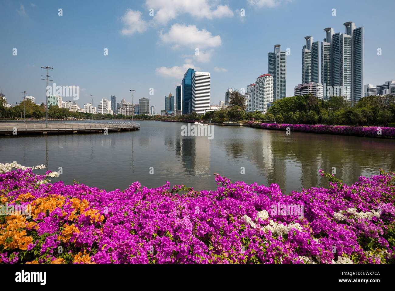 Parco Benjakiti, skyline, fiore siepe, Bangkok, Thailandia Foto Stock