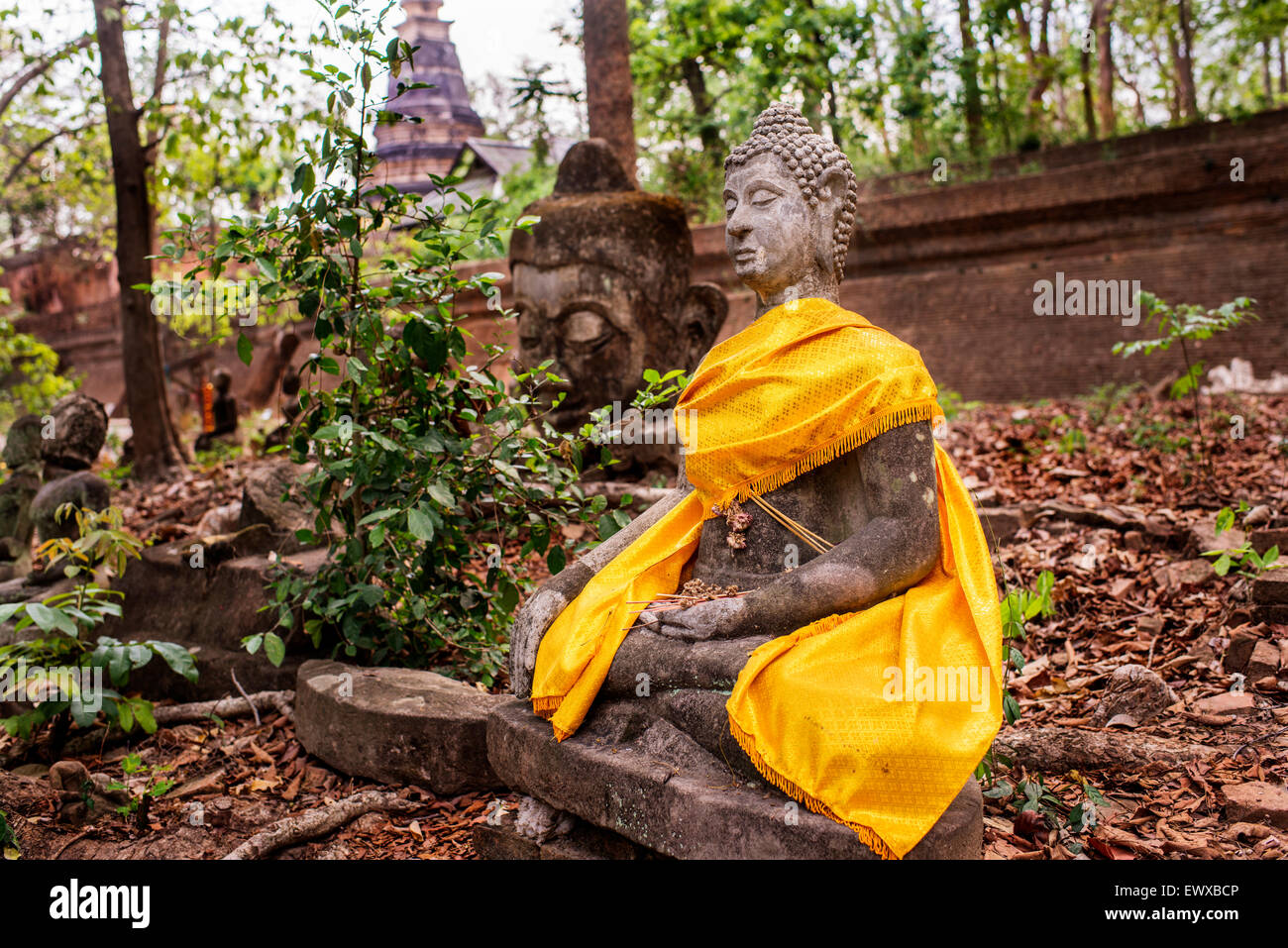 Statua di Buddha Foto Stock