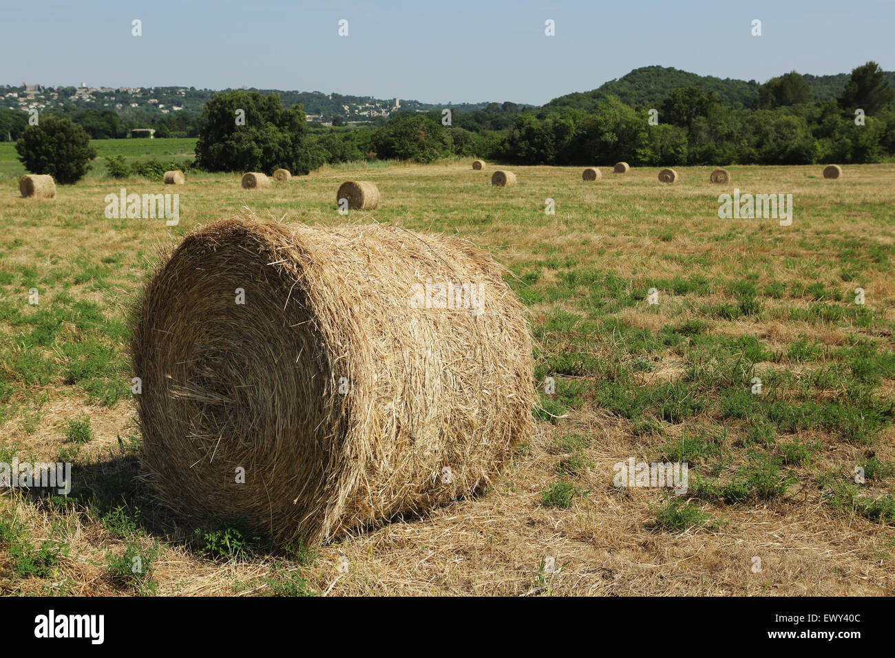 Haystacks laminati in un campo a Salinelles nella regione Languedoc-Roussillon della Francia. La regione ha un clima mediterraneo. Foto Stock