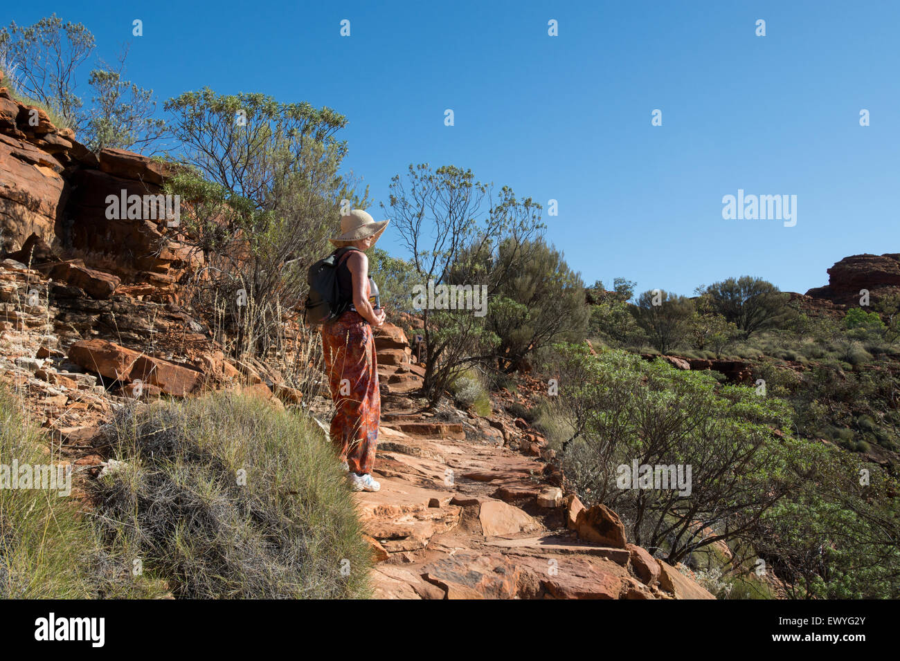 Australia, NT, Watarrka National Park. Kings Canyon, Rim a piedi. Impegnativo 6k escursione attorno al canyon rim. Foto Stock