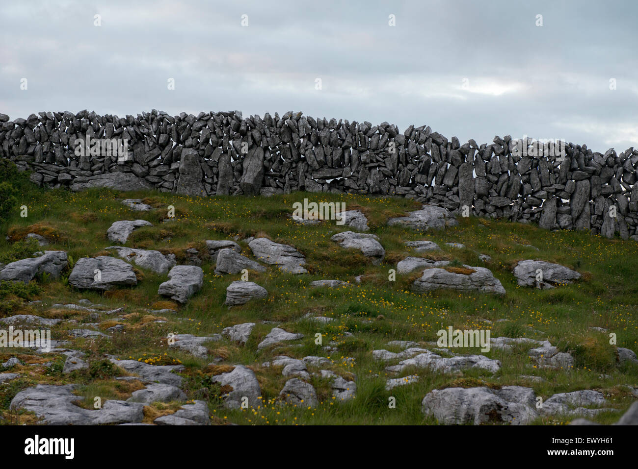 Recinzione in pietra nel Burren dell Irlanda. Foto Stock