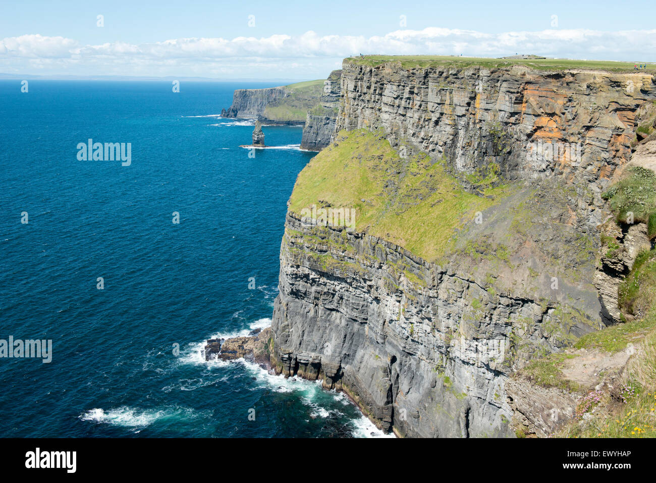 Scogliere di Moher, Irlanda. Foto Stock