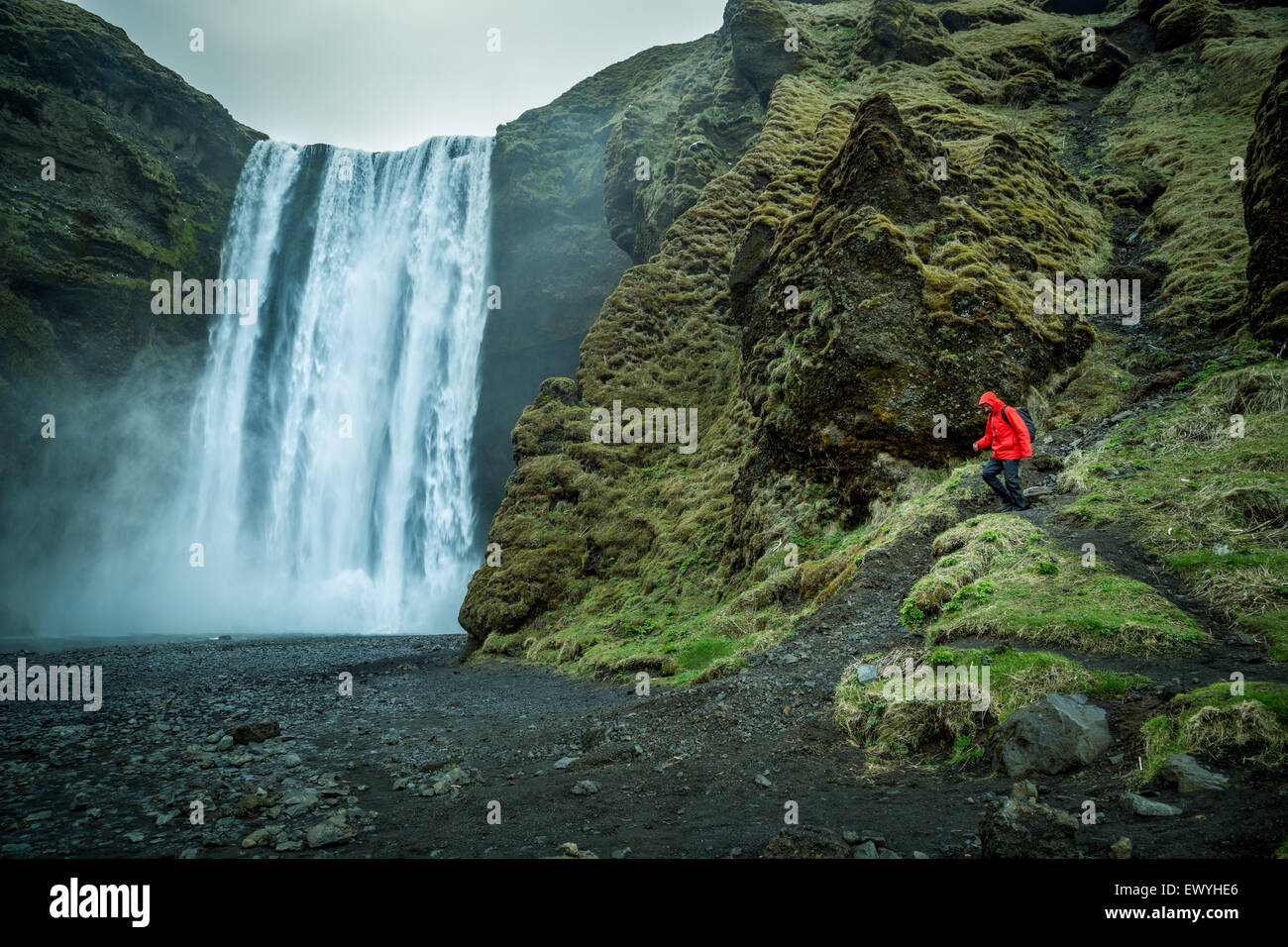 L'uomo escursionismo, Skogafoss, Islanda Foto Stock