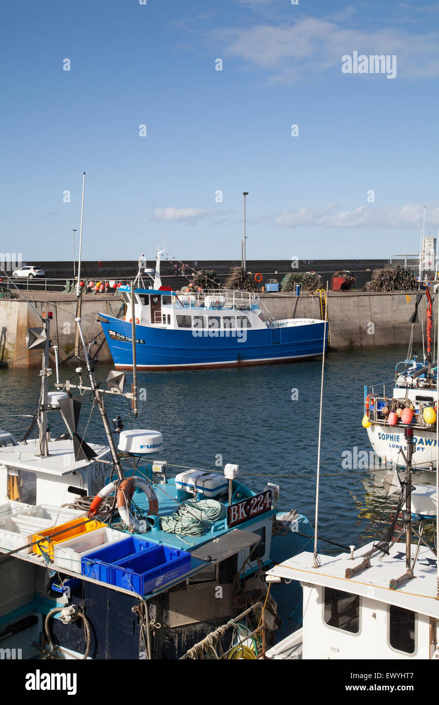 Il lieto annunzio 5 Isole farne gite in barca da diporto presso il porto di Seahouses Northumberland Inghilterra Gran Bretagna Foto Stock
