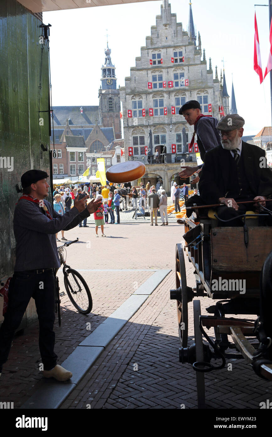 Gli uomini di formaggi di carico su un carrello horsedrawn al formaggio Gouda mercato, che prende il posto di fronte al municipio a Gouda. Foto Stock