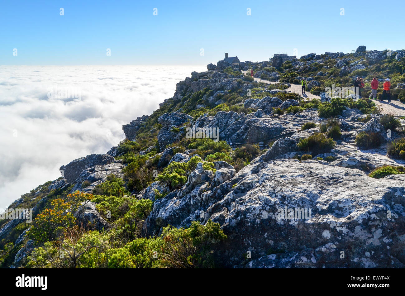 I turisti a piedi sulla cima della montagna della tavola, Città del Capo Foto Stock