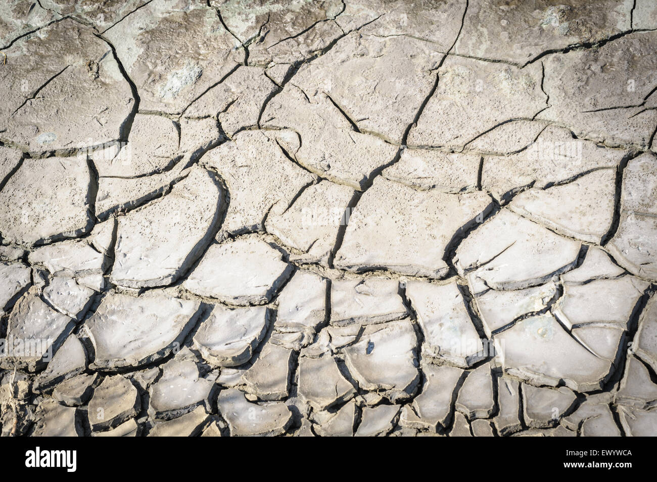 Terra povera textured background. Foto Stock