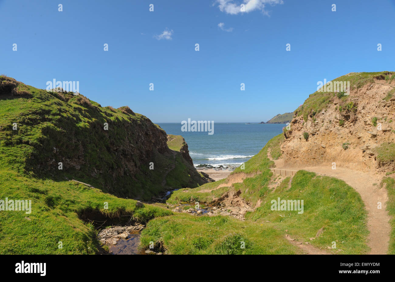 Sud ovest via costiera lungo la costa del South Devon, Inghilterra, Regno Unito Foto Stock