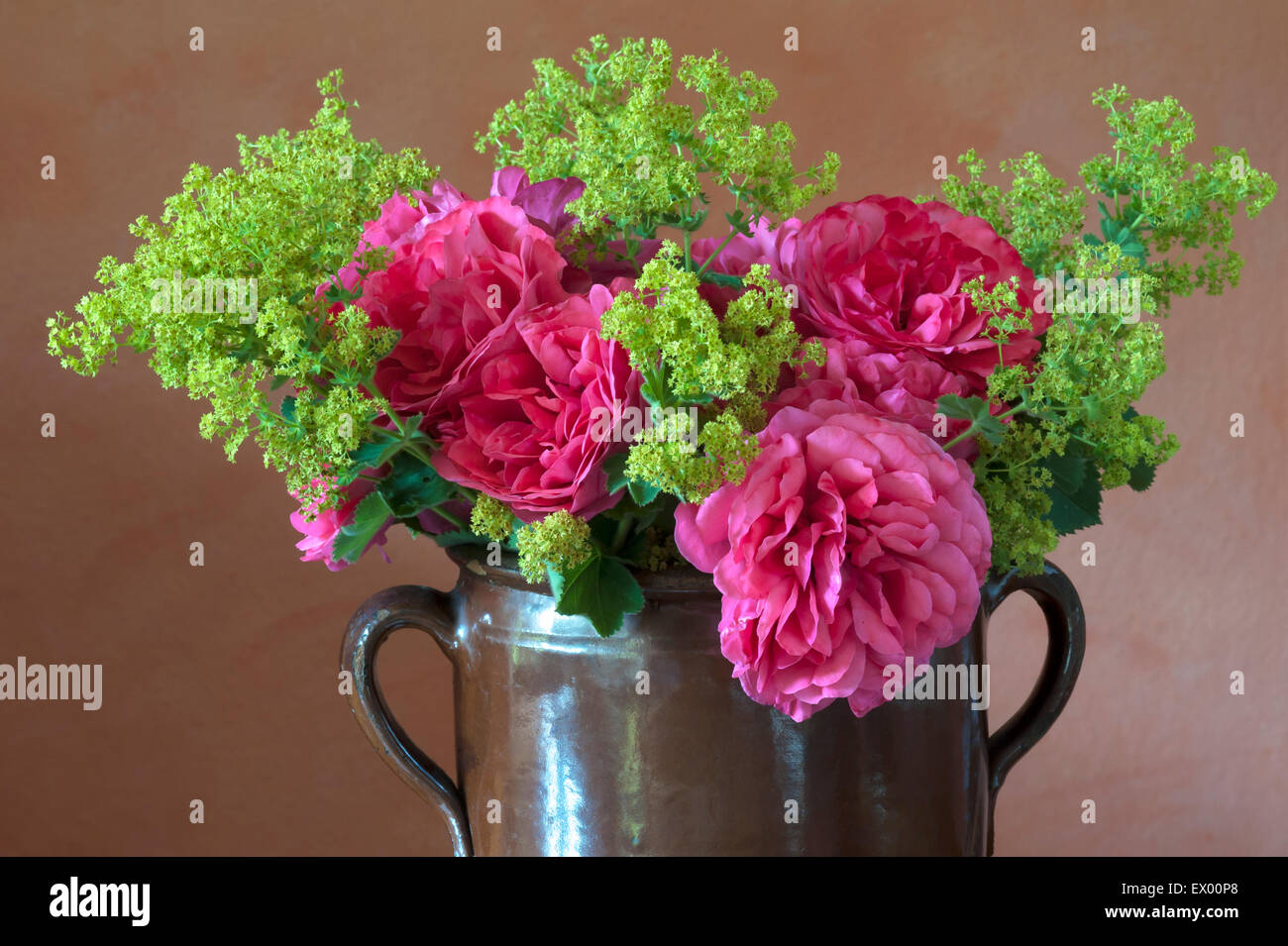 Mazzo di fiori nella brocca di argilla su tavola, 'Cariona' rosa (Rosa sp.) e lady del mantello (Alchemilla sp.) Foto Stock