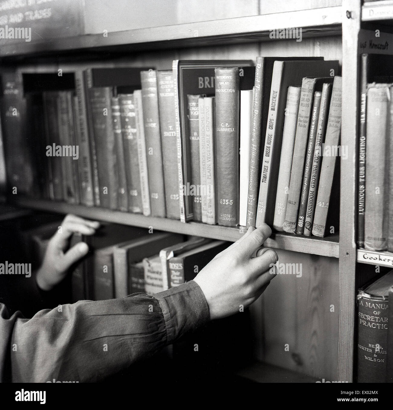 Anni '1950, storico, una persona che guarda una fila di libri di testo su uno scaffale in una biblioteca pubblica, Inghilterra, Regno Unito. Foto Stock