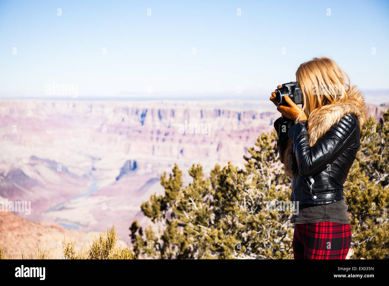 Donna prendendo fotografie del Grand Canyon, Arizona, Stati Uniti d'America Foto Stock