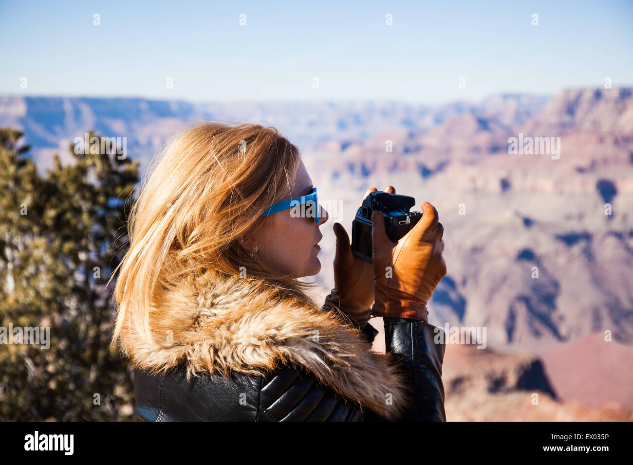 Donna di fotografare il Grand Canyon, Arizona, Stati Uniti d'America Foto Stock
