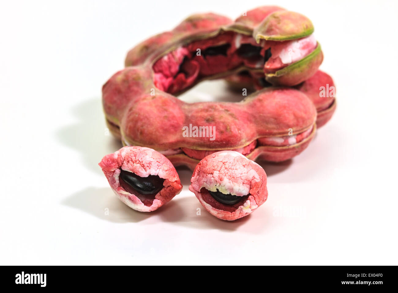 Manila tamarind frutto isolato su sfondo bianco Foto Stock