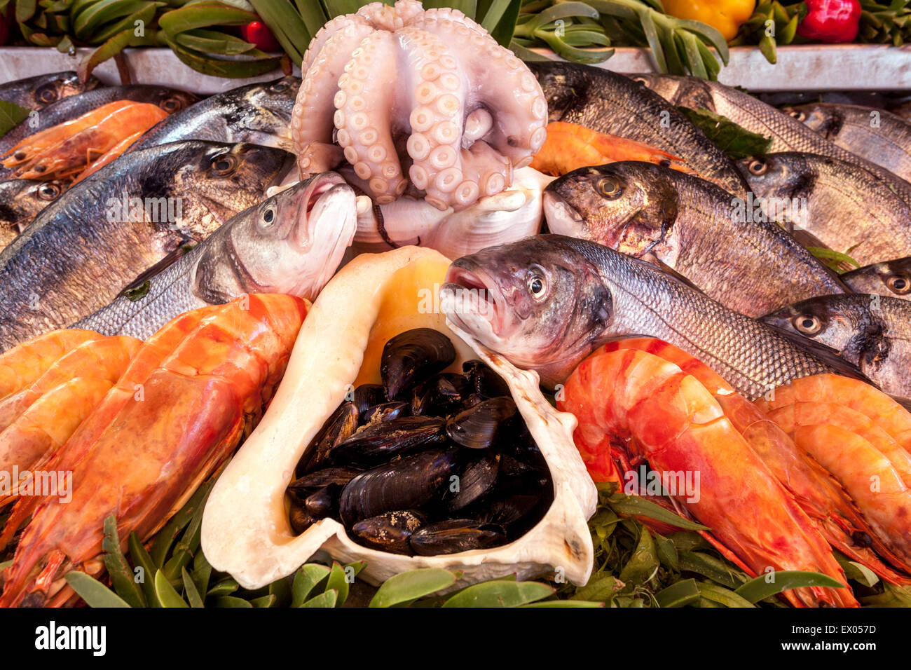 Piatto di pesce, cucina greca, ristorante Rethymno mostra Creta, Grecia frutti di mare menu Foto Stock