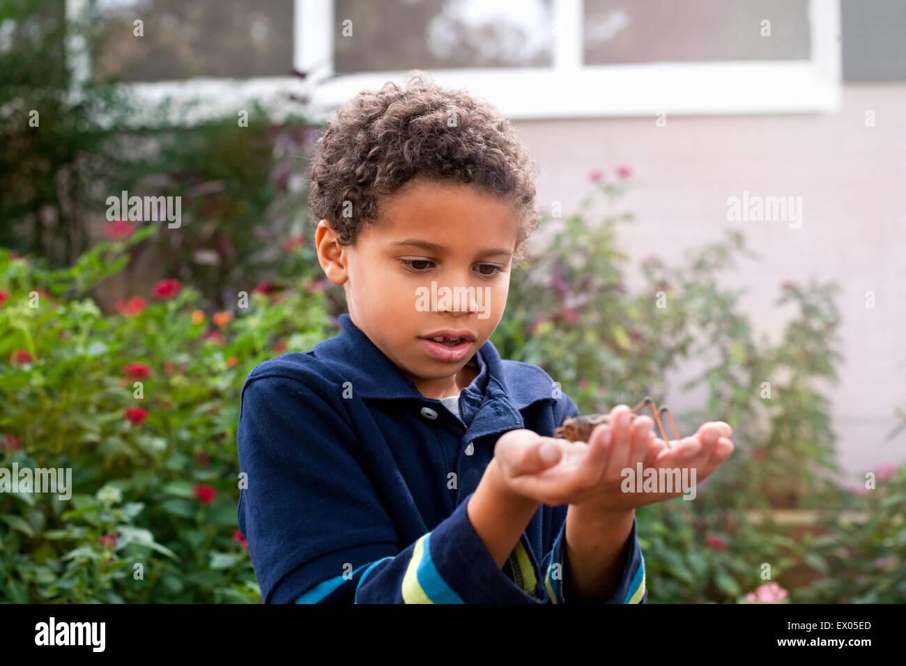 Ragazzo osservando grasshopper in giardino Foto Stock