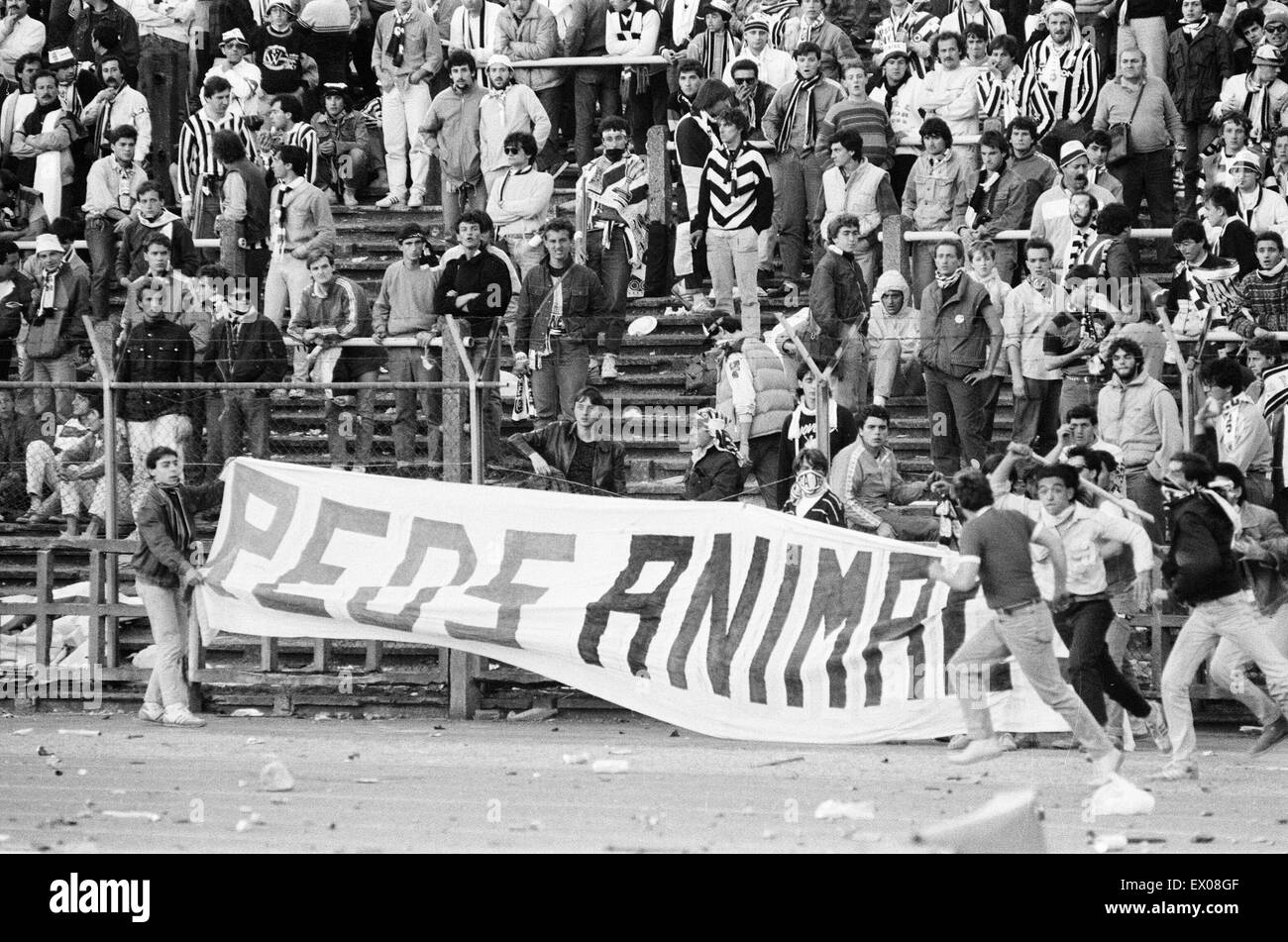 La Juventus 1-0 Liverpool, 1985 European Cup Final, Heysel Stadium, Bruxelles, mercoledì 29 maggio 1985. La violenza della folla. Rossi animali. Foto Stock