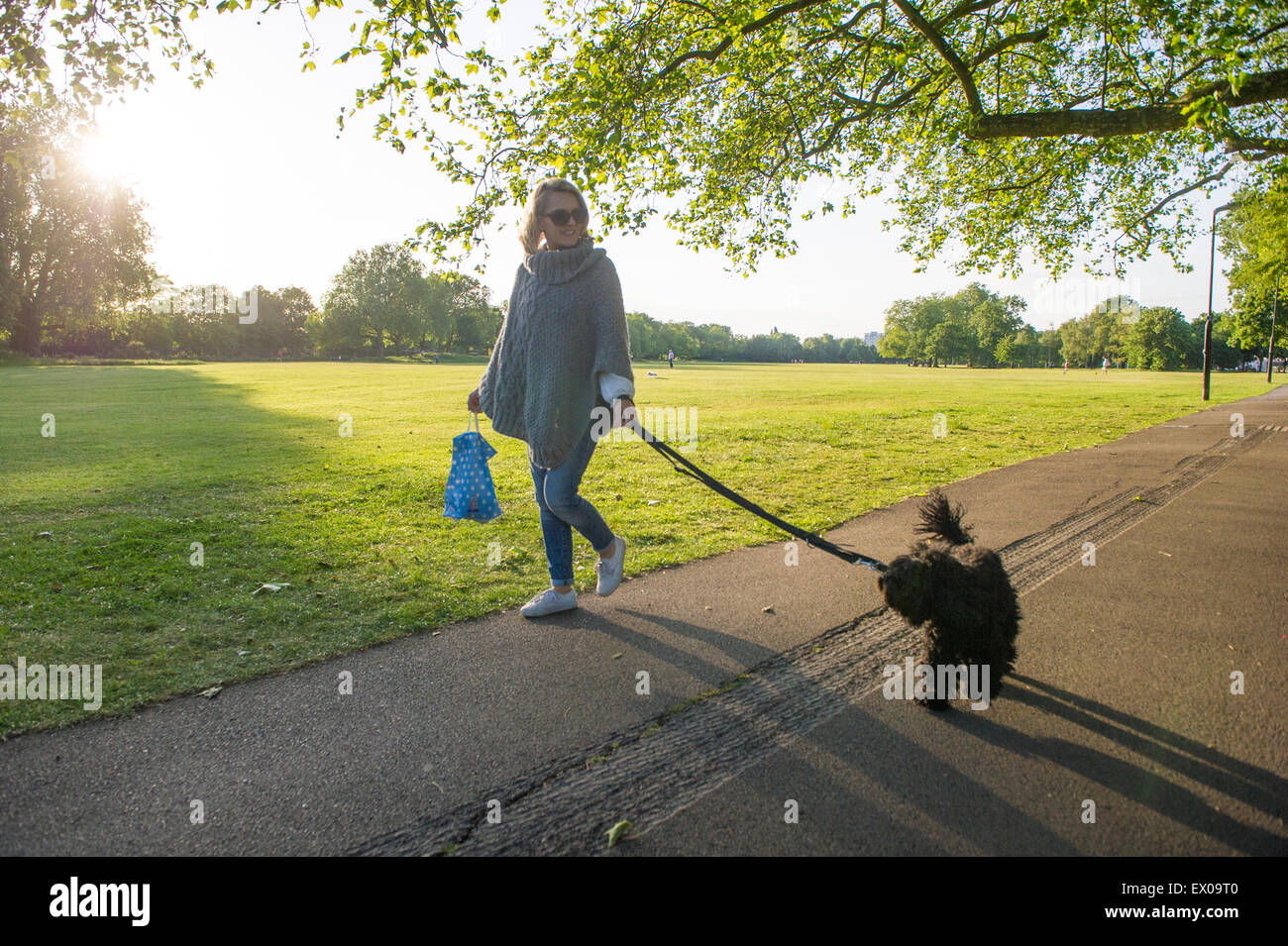 Una signora cammina il suo cane su una giornata d'estate su Wandsworth Comuni a Londra Foto Stock