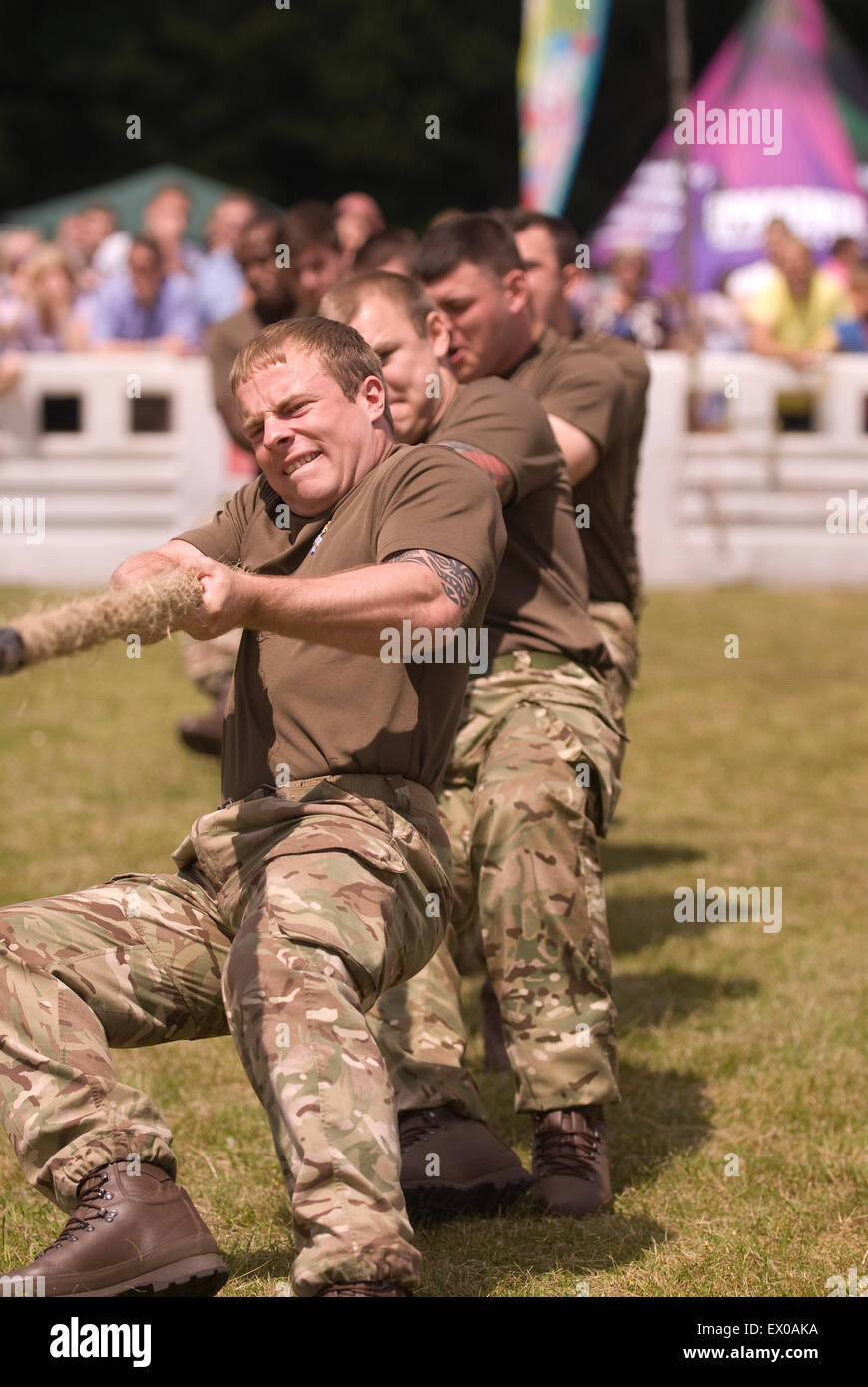 10 Trg Bn Inter plotone Tug 'o' guerra, addio al Festival di guarnigione, Bordon, Hampshire, Regno Unito. Sabato 27 Giugno 2015. Foto Stock
