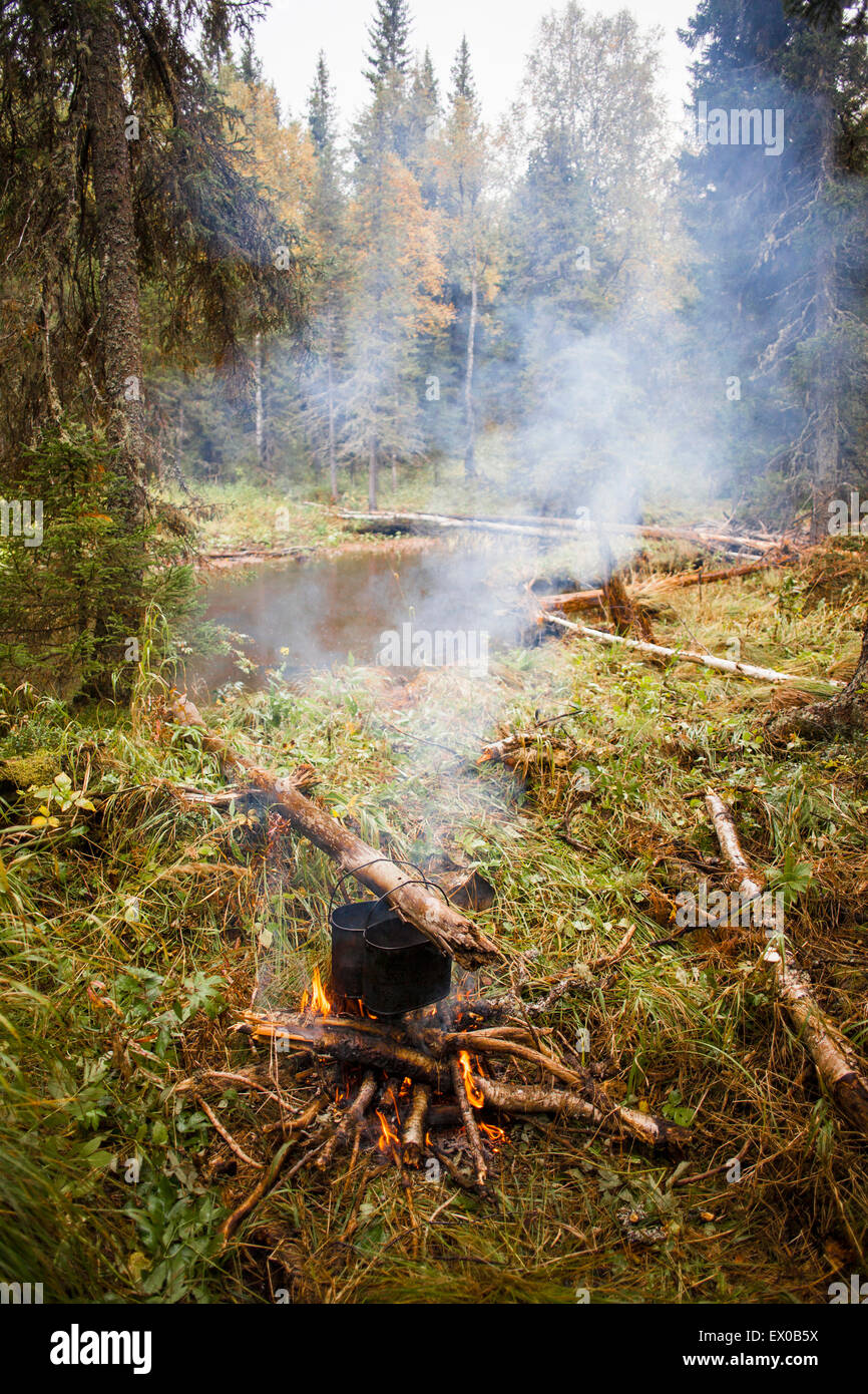 Campfire nella foresta, Sarsy Village, Sverdlovsk oblast, Russia Foto Stock