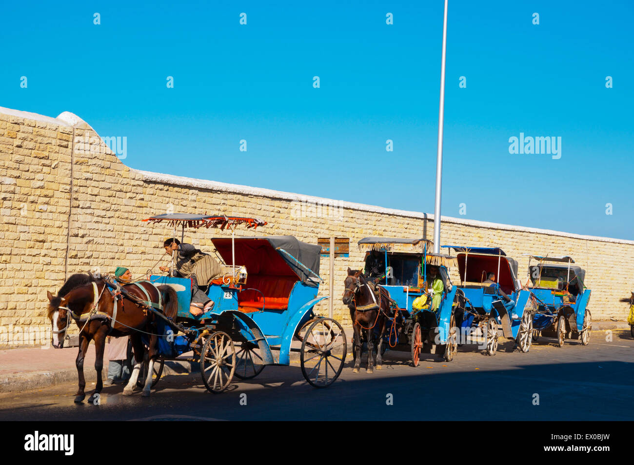 Carrozze trainate da cavalli, al di fuori della Mellah, Bab Doukkala, Essaouira Costa Atlantica, Marocco, Africa settentrionale Foto Stock