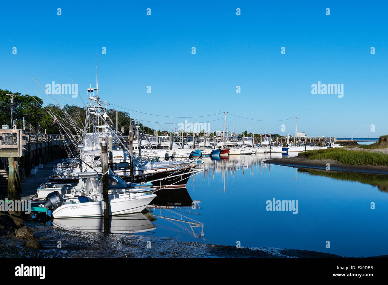 Charter di barche da pesca ormeggiata nel porto di roccia, Orleans, Cape Cod, Massachusetts, STATI UNITI D'AMERICA Foto Stock