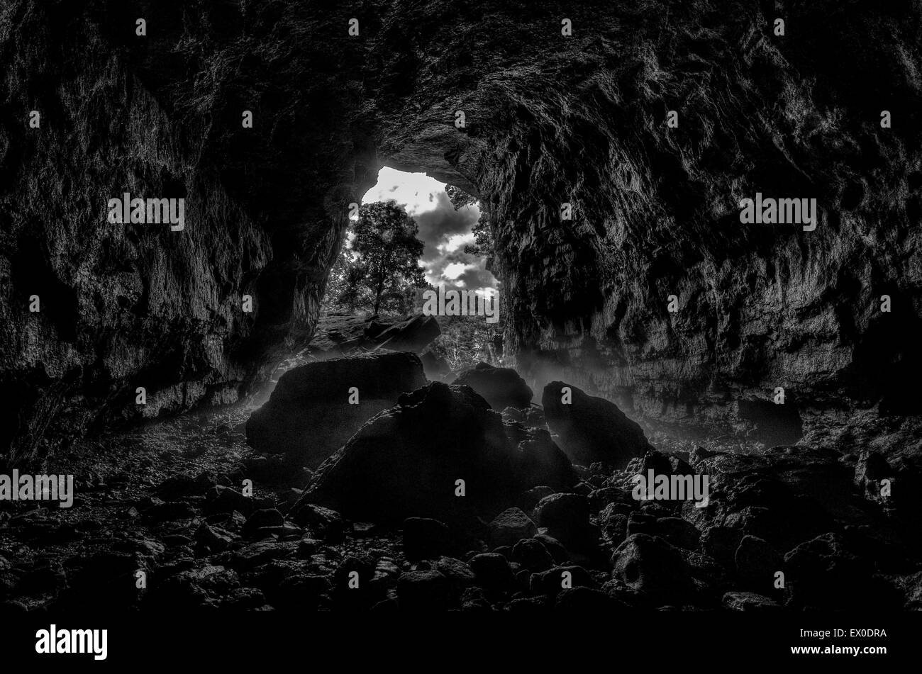 Presi dall'interno Jam fino in una caverna nel Missouri Foto Stock