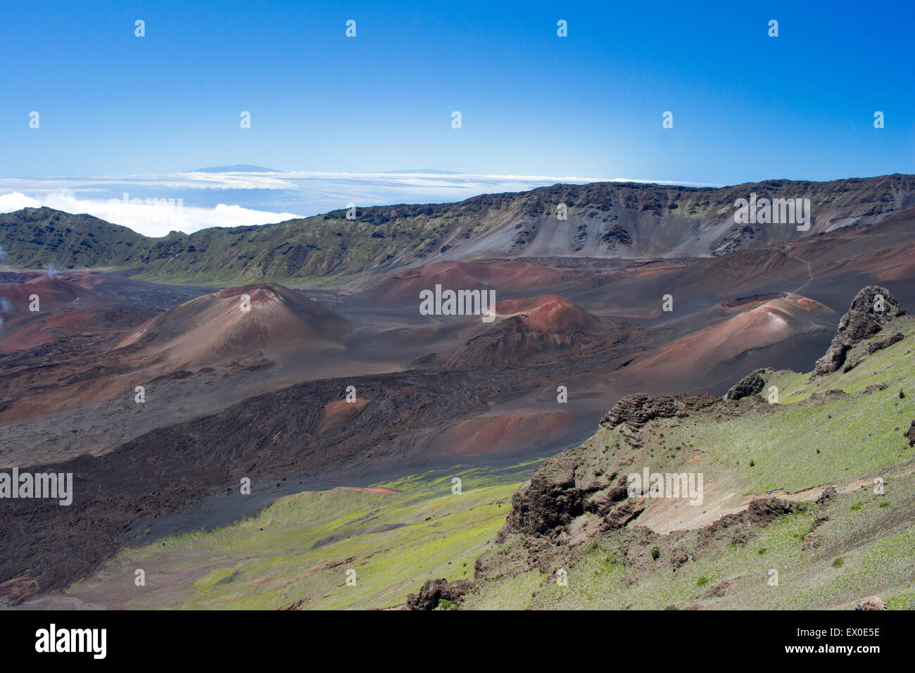 I coni di scorie a Haleakala Foto Stock