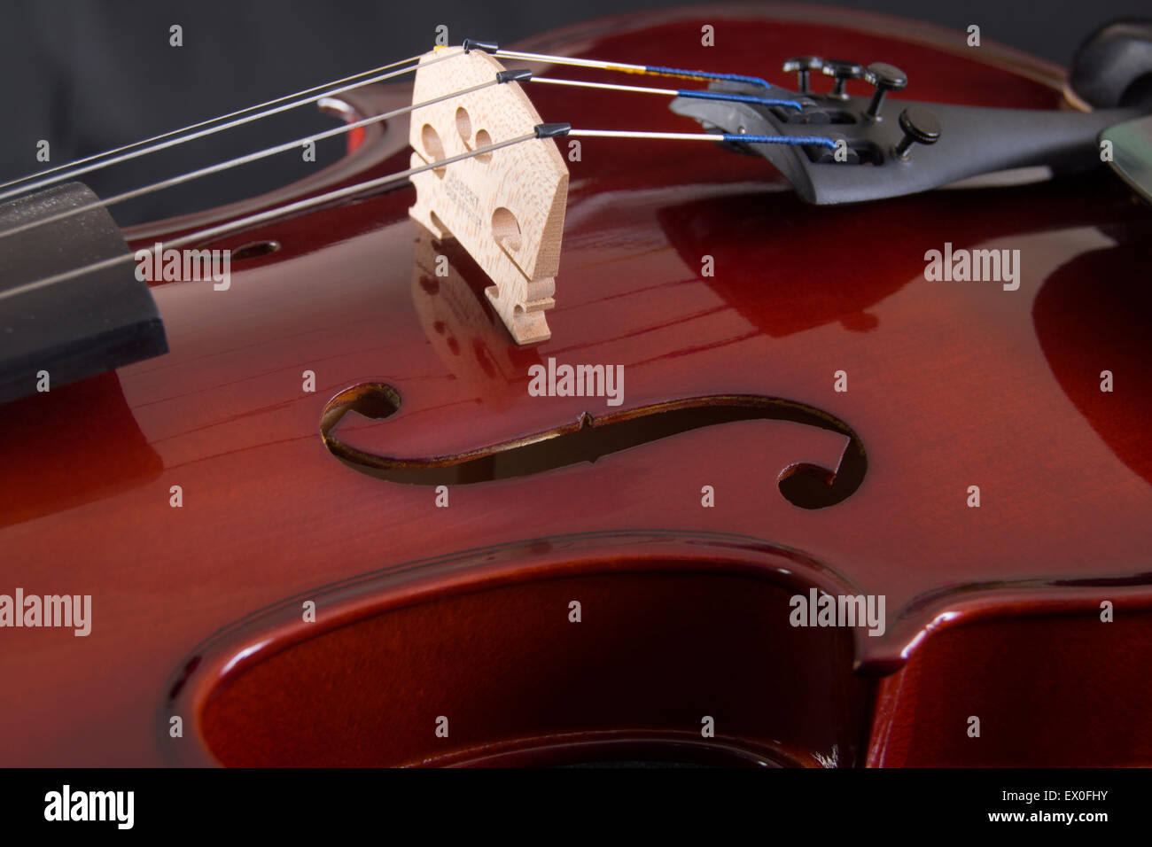 Violino close up con sfondo nero. Foto Stock