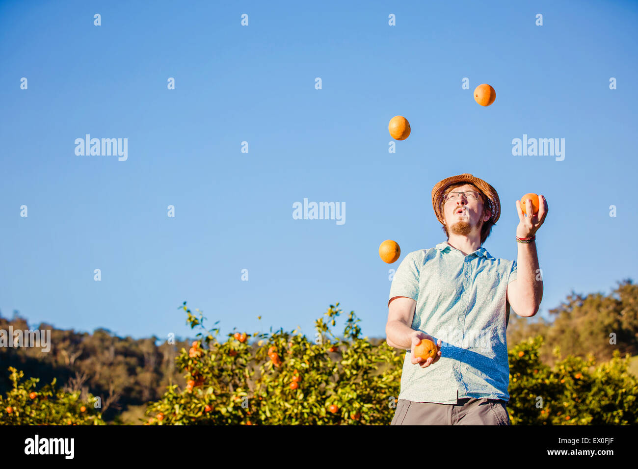 Allegro giovane juggling arance sulla fattoria di agrumi Foto Stock