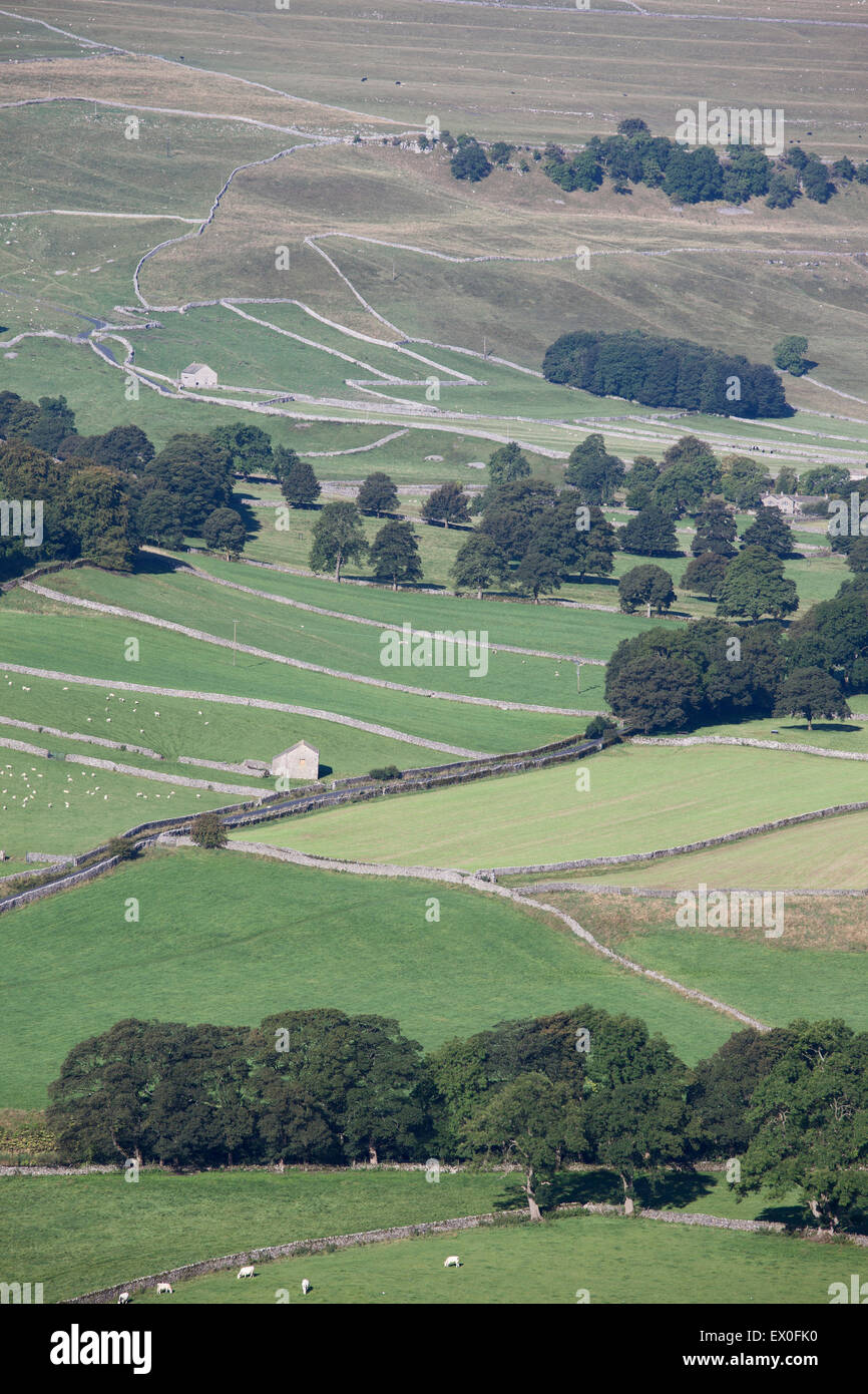 Mosaico di campi e stalattite pareti vicino al villaggio di Arncliffe, Littondale, Yorkshire Dales, North Yorkshire, Regno Unito Foto Stock