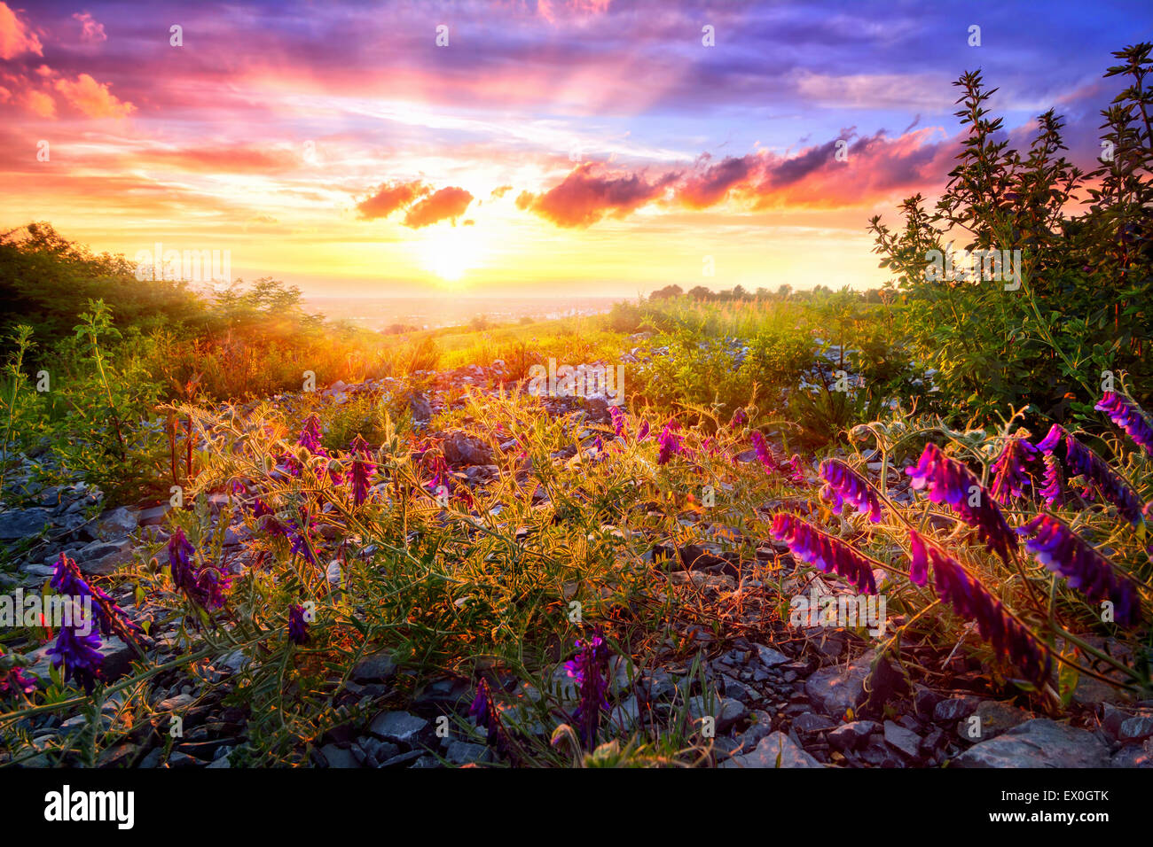 Tramonto panoramico paesaggio con vegetazione mista nella luce calda del sole e il cielo colorato in background Foto Stock