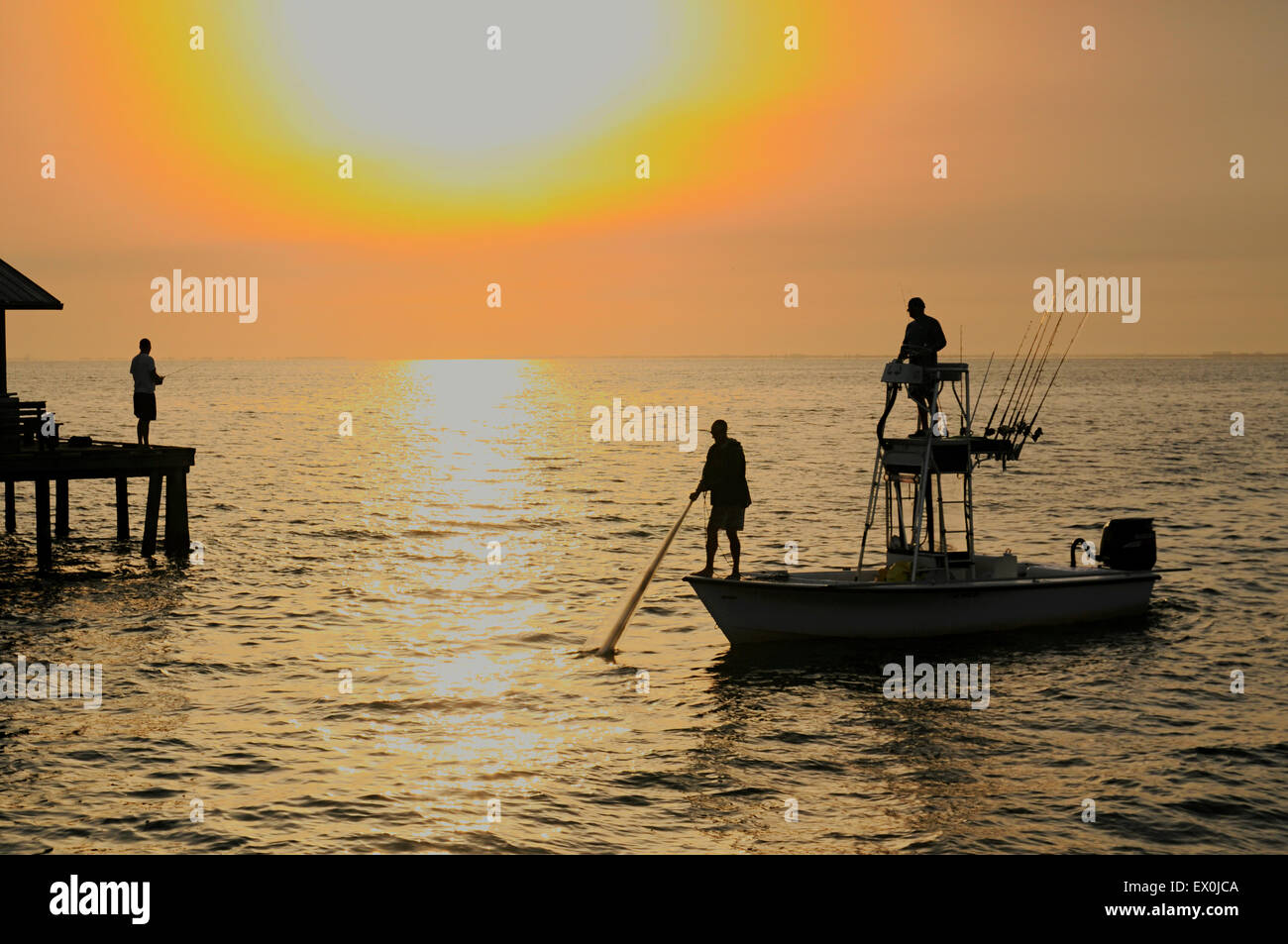 Anna Maria, Manatee County, Florida, USA.3 luglio 2015.Alcune scene del mattino presto. Leggermente più fresco a 79 F e meno umido che di tardi. All'alba, il pescatore tira su l'esca castnet al molo della città come un altro giorno in Paradiso inizia. Foto Stock