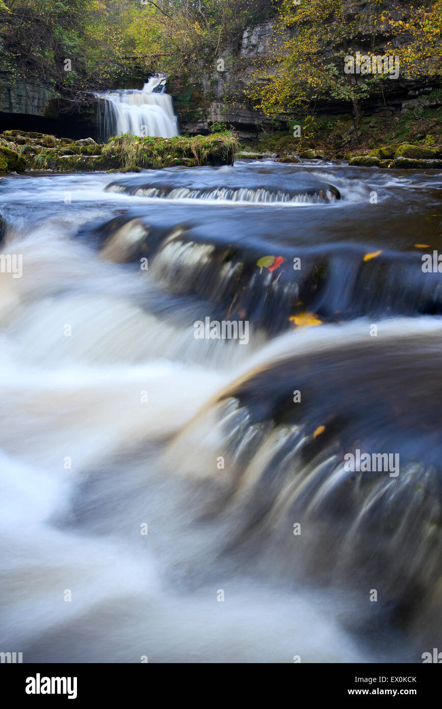 Calderone superiore cade in autunno di West Burton sul Wharfedale/Wensleydale frontiera, Yorkshire Dales, REGNO UNITO Foto Stock