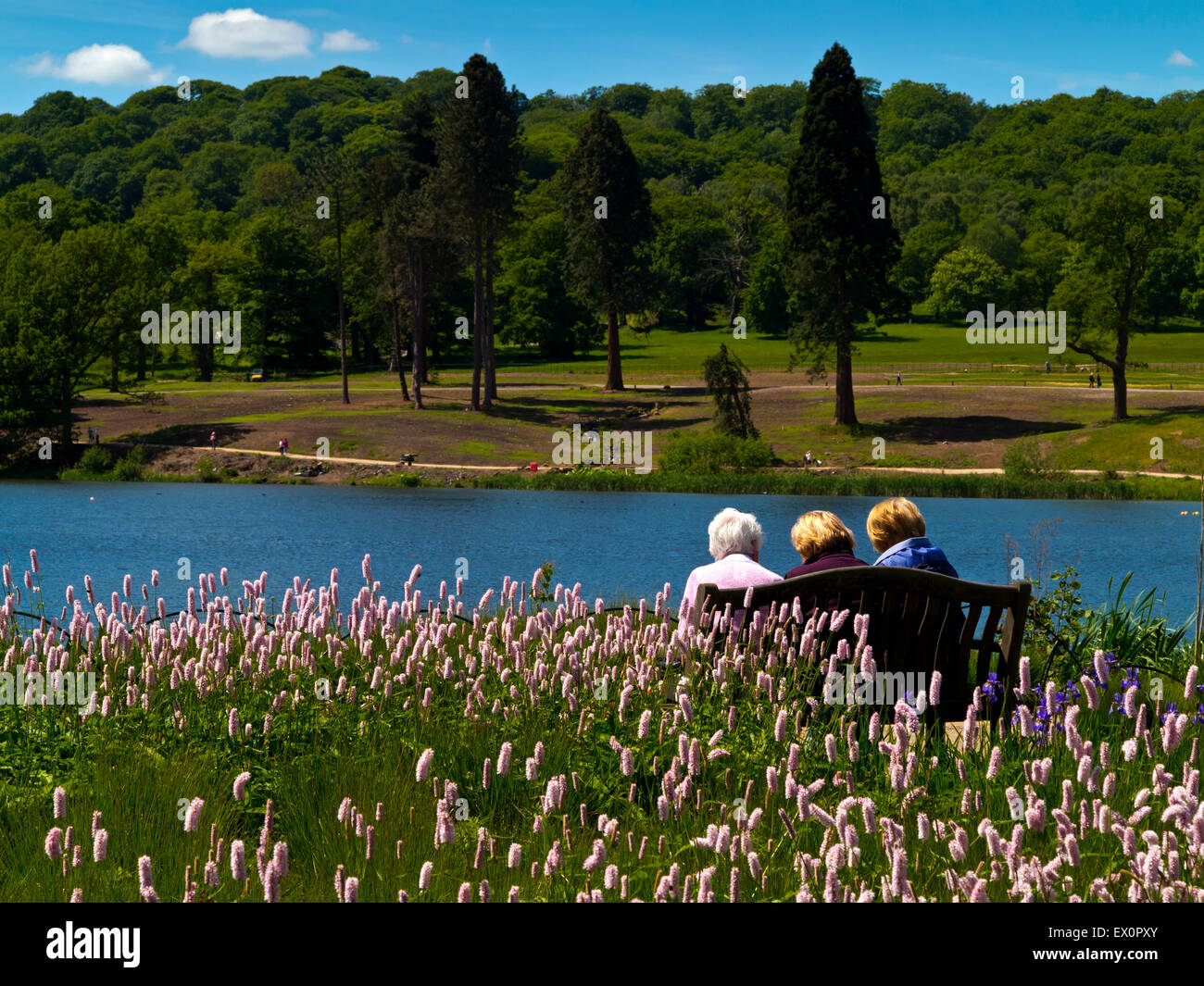 Tre donne anziane accanto al lago a Trentham Gardens vicino a Stoke on Trent Staffordshire England Regno Unito Foto Stock