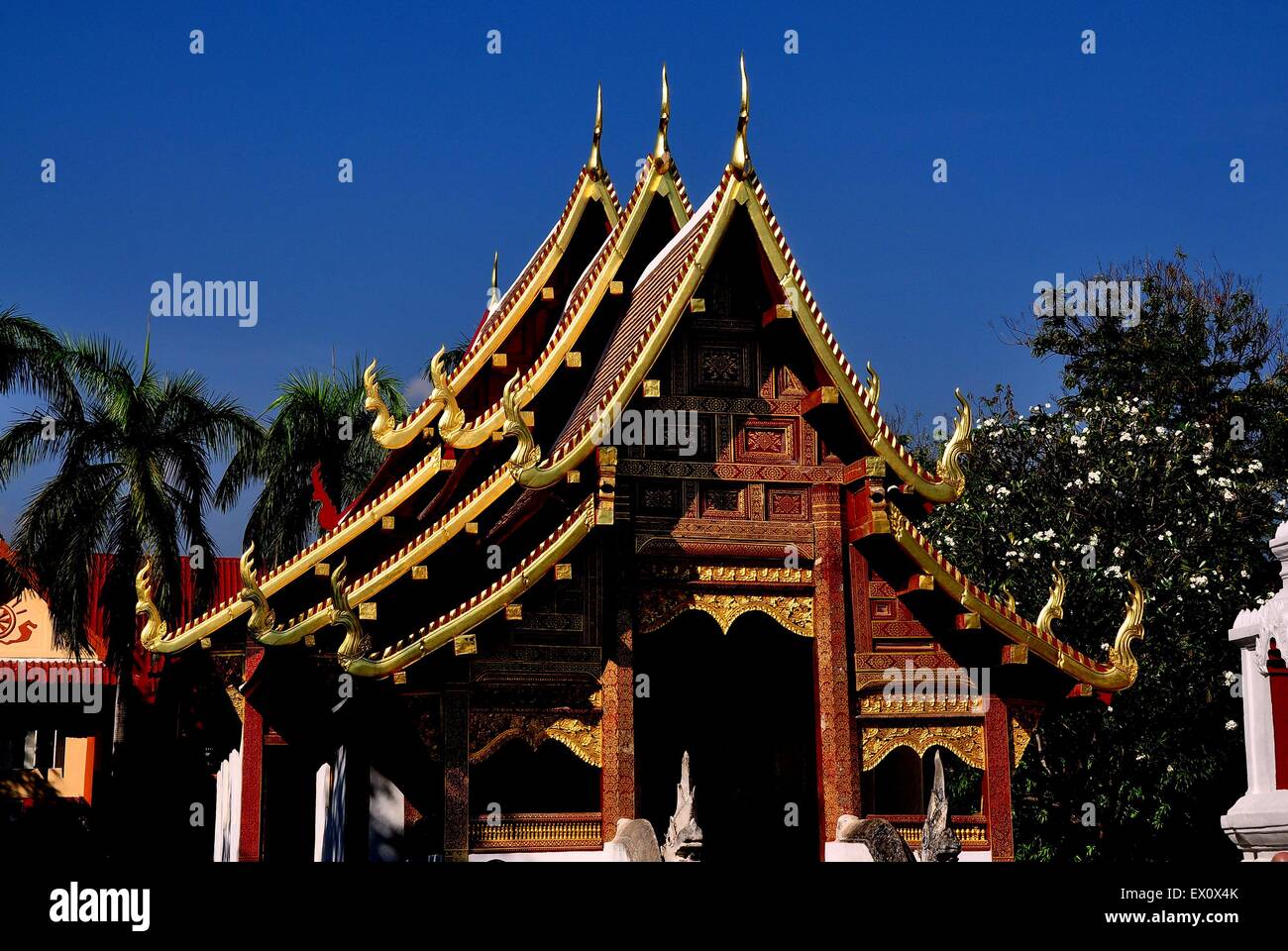 Chiang Mai, Thailandia: squisito stile Lanna Phra Wihan Lai Kham con Drago Dorato tetto al Wat Phra Singh Foto Stock