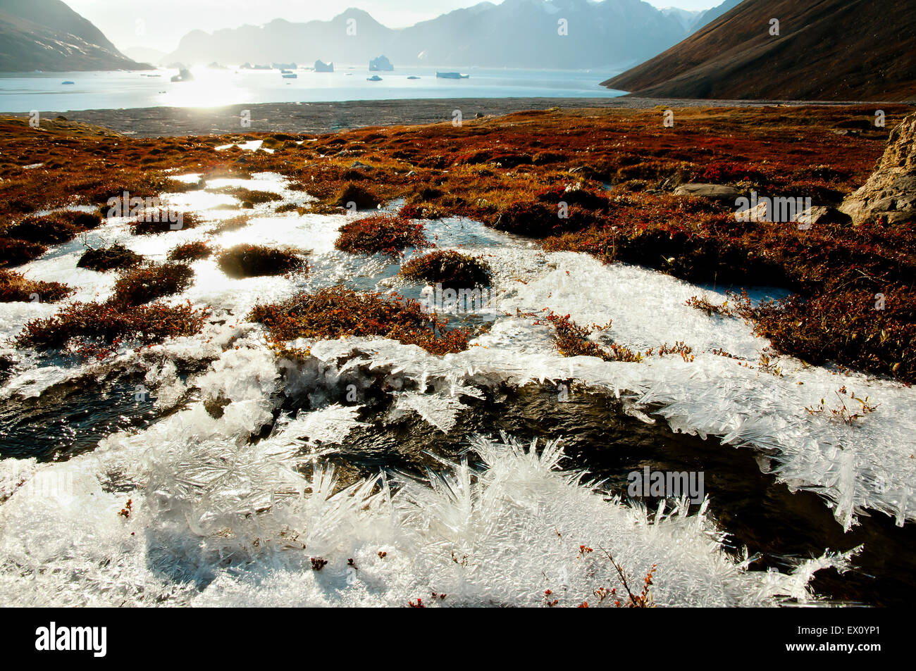 Sun Glare Frost - Groenlandia Foto Stock