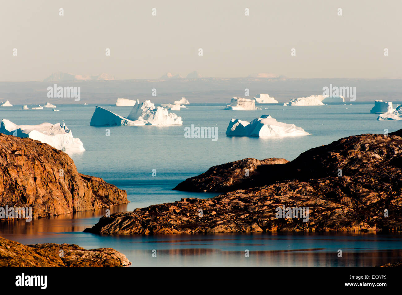 Iceberg Fjord - Scoresby Sound - Groenlandia Foto Stock