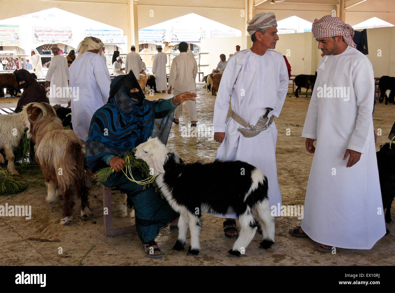 Bedu (Beduino) persone che acquistano e vendono capre al mercato degli animali in Sinaw, Oman Foto Stock