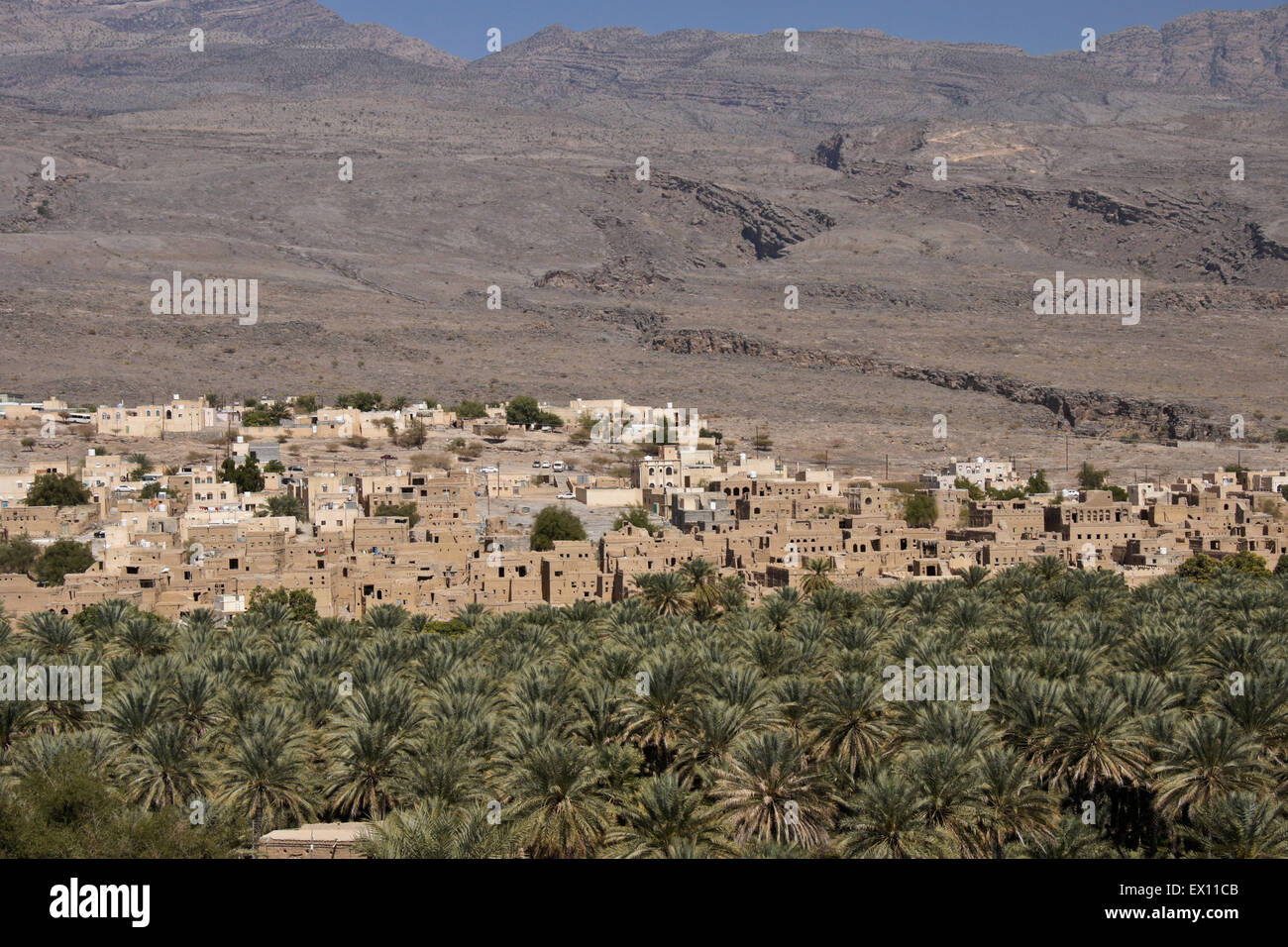 Villaggio Al-Hamra, data palm oasis e montagne Hajar, Sultanato di Oman Foto Stock