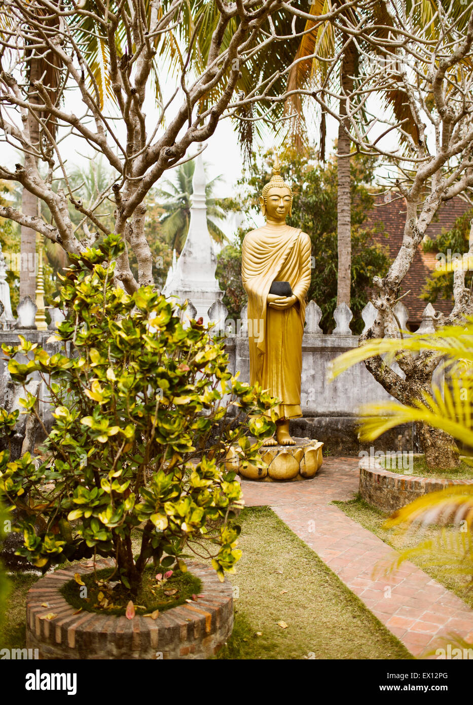 Un giardino di Buddha all'interno di Wat Choumkhong. I Buddha mostrano alcune delle 7 posizioni del Buddha.Luang Prabang,Laos Foto Stock