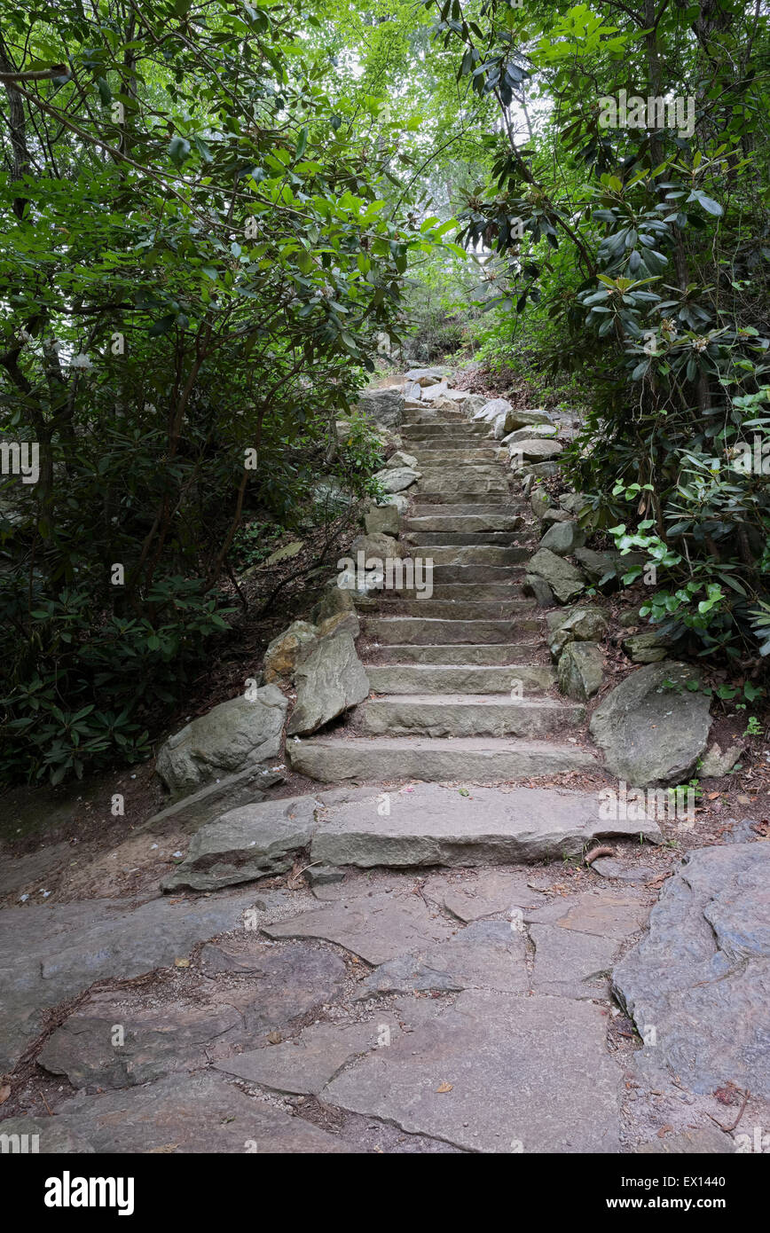 Gradini di pietra in basso a Cascades cascata in Hanging Rock State Park. Danbury, NC Foto Stock