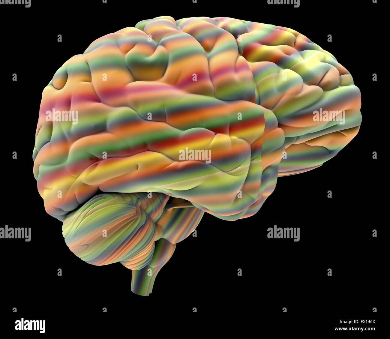 Il cervello del computer astratto illustrazione di un cervello umano la parte anteriore del cervello è a destra il cervello è il centro nervoso che controlla Foto Stock