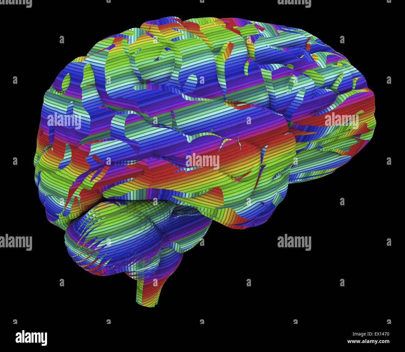 Il cervello del computer astratto illustrazione di un cervello umano la parte anteriore del cervello è a destra il cervello è il centro nervoso che controlla Foto Stock