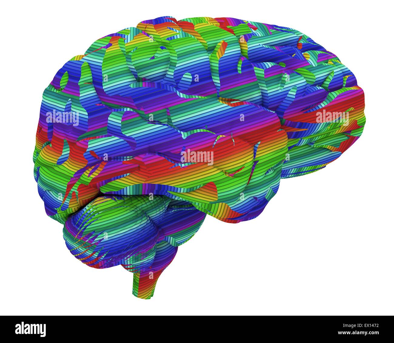 Il cervello del computer astratto illustrazione di un cervello umano la parte anteriore del cervello è a destra il cervello è il centro nervoso che controlla Foto Stock