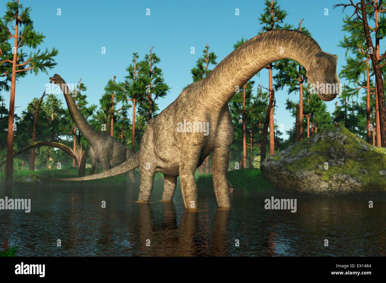 Brachiosaurus, illustrazione del computer. Foto Stock