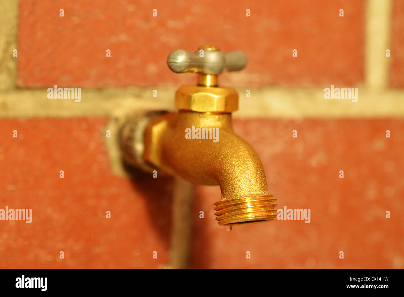 Macro di un rubinetto di acqua con una goccia di acqua Foto Stock
